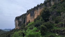 d4e5add2-497a-4c54-ac19-90883200e935