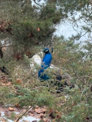 5baeed57-c53c-4cf3-8622-232683129229