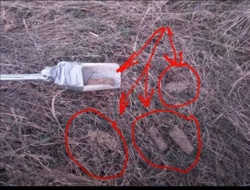 449fbdd9-3bd0-47e3-a59e-e43d4d0ff732