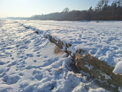 d01cfe97-b5e9-4e2d-879e-ebadf47fe972