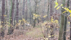 f1056e77-9e91-43bb-aba3-cf6d08a108ff