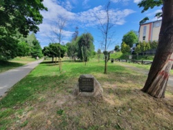 083d03a1-dc21-4251-b2f9-4682fe479779