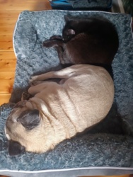 2d3f1d0b-a2c8-4c39-934a-2012a2de4ee8