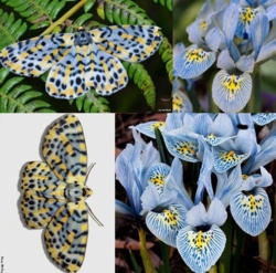 109d8c97-25bd-4baf-88ea-09e74289ef52