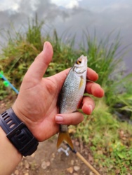 a5c664f1-0152-4444-989c-38f5aa25db14