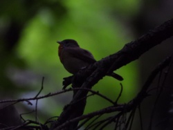 ae4f354e-4681-47e4-bde8-5aad87236980