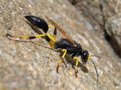 7d31469a-f934-4bac-bfd2-6399fe95e49f