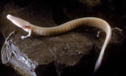 8196e99f-8cb9-49ae-bfba-90ec02ac18a1