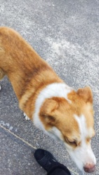 aaea8235-32e9-4a2a-91a4-80a159c3772c