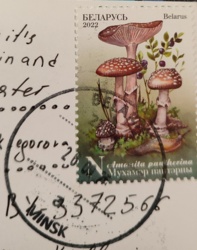 04abee77-c8cf-4c34-b8b7-b238a18a48a8