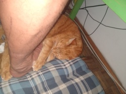 661378cc-1712-4272-8bc7-7240cd1a8753