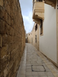 5c2c2d4c-498f-469a-a143-0c4a8d82f955