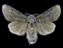 f7f5e18c-6cc9-4510-8274-9678611dfdb0