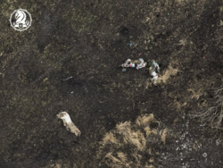 14148ded-6f26-438b-9183-0ff144017240