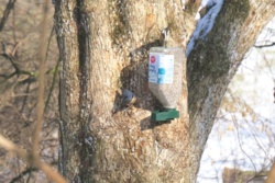 9559f8c5-5914-4155-9f2f-620ee0373c41