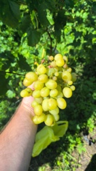 0fb503e1-5189-490e-8eb7-1147aa9a700d