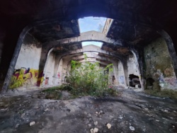 138a68cf-10e1-4f4b-8513-25f39b6b59f0