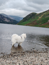 7208793d-3362-45a0-b680-0d61d49f93be