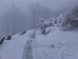 eb9d6801-f238-4caf-99f3-ecf8331401b0