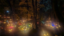 8987b75b-a560-48c3-85a3-e73b968df5ef