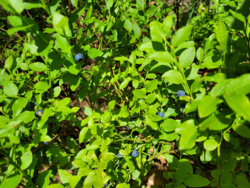 ad1d997f-08db-4cec-882c-c4ed2c662ccd