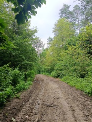 3931b7ef-1283-411b-b0bf-6912f01994b4