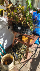 f11dc552-057c-4a71-9a7b-0f27c3020246