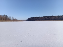 64e4d601-1bb7-43ab-8e17-af7a6db273dd