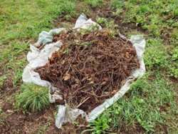 b6db3c84-e716-41f6-9684-a4601e0392ec