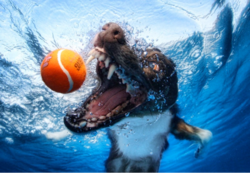 7b69a2ad-65bc-4032-8b21-2018d5108f1c