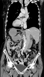 f3028b34-1fc3-4cc3-87ab-92748635be39