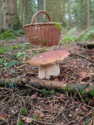 23c65f44-a547-4442-a4d1-3440038a6ecc