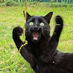 6fc82a45-6c01-4fcc-be73-6f2bcf06d931