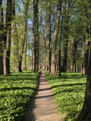 23cf0818-e7d5-42e3-8815-bef69412f780