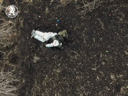 373947ac-f2d5-45a3-a152-f0ac710dd823