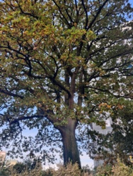 a48c6f8c-698d-48cc-ac90-ef8efdfc6863