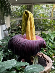 2f94414b-f828-4df2-bd79-060a61f7e48b