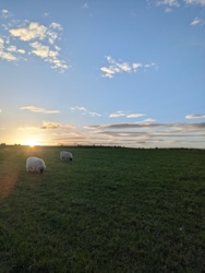 334e118f-708e-4b54-a0d2-bc94be58dc09