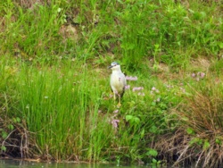 874cdf21-4b8b-4abe-bd30-fcbf3c2d0949