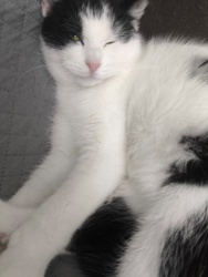 39b9da33-836a-4703-b34b-3efc17389d68