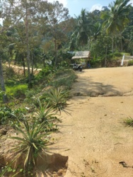 818d5b25-065a-4c96-992a-c4a05c58a76f