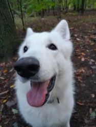 604fb9ec-32f9-4af3-9418-707f72328332