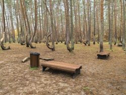 920509f5-4fb5-4770-957b-9aefa687ee86