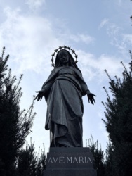 e375b88d-5f52-455d-9081-6fe62d74e674