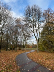 b25d10b2-93e0-48d5-bf67-a9931f493001