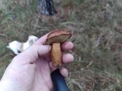 53c3cb53-c686-49a3-8ef2-2ff831ffb4a9