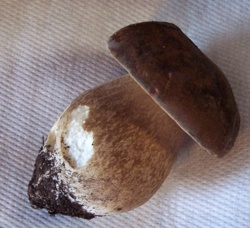 b95910ca-80ac-4882-971e-cf02b7bd0298