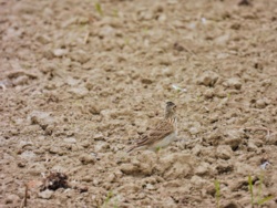 8be03906-5f3b-474b-b506-f84a40ab2a37