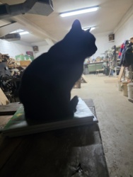 5d6bde82-5e34-4a1e-a4ce-211452e00900