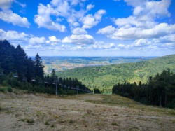 b8313fe4-70d7-4961-96af-f91049f563ea